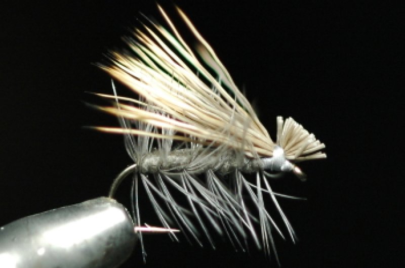 ホフマン ハックル　未使用　グレード2 2025年最新】ホフマンハックルの人気アイテム - メルカリ