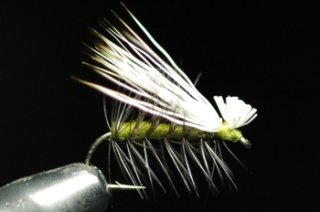 オービス ハイドロス フライリール Hydros Fly Reels - 鱒夢