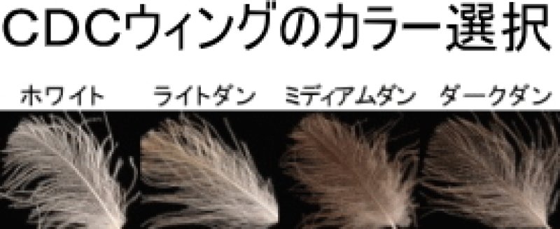 画像1: CDCクラスターミッジ　ブラウン