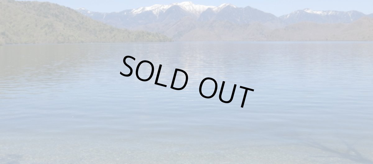 画像2: ワカサギ フローティング(横浮き) 2本セット (2)