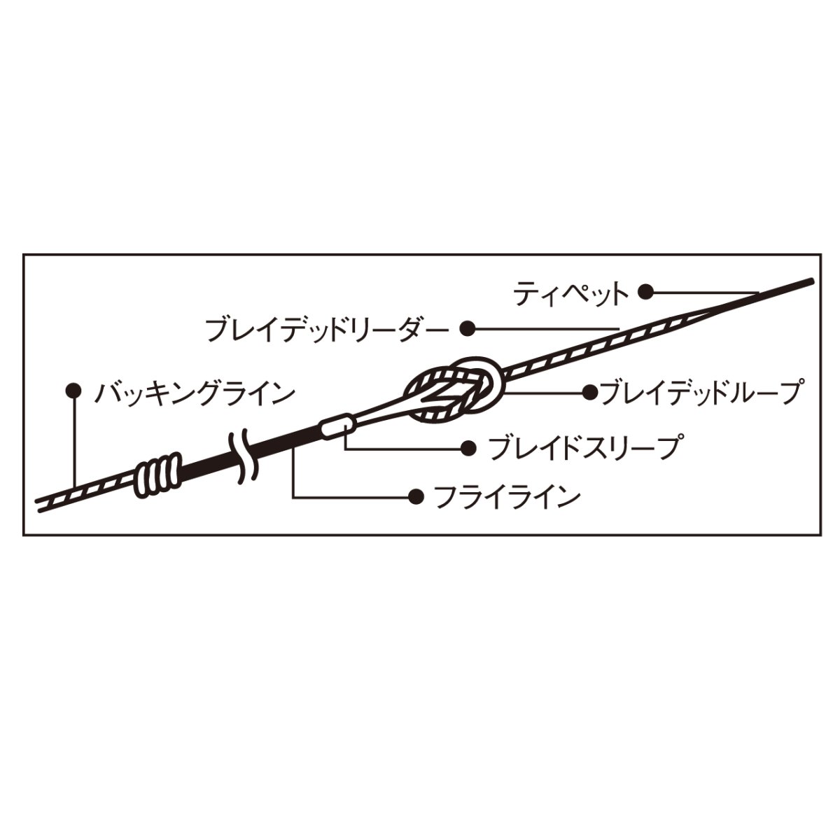 画像4: アクロン　ブレイデットループ (4)