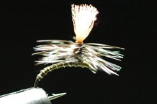 画像1: ADW/PPW　ミッジパラシュート　オリーブダン (1)