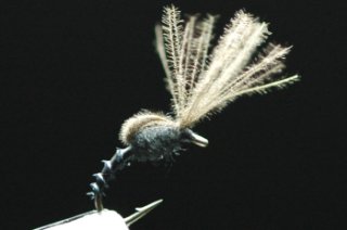 Anglers Paradise【フライフィッシングショップ アングラーズ