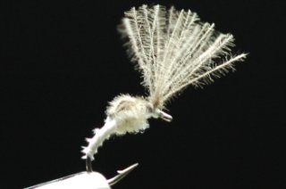 ユーフレックス インファンテ インファンテ フライロッド - 鱒夢