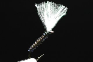 Anglers Paradise【フライフィッシングショップ アングラーズ