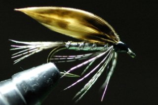 フライ用 タイイング スレッド 8個セット 150D 100yard | ff-japan