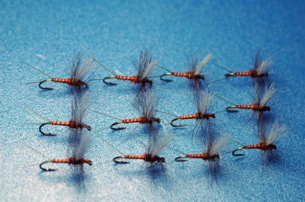 アカマダラカゲロウ ソラックスダン 12本セット - 鱒夢