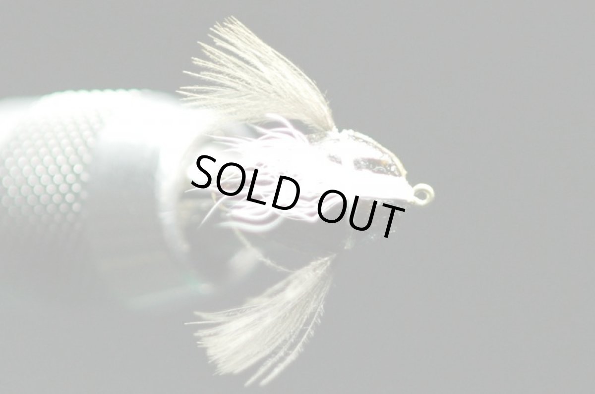 画像2: シマザキ.カメムシ　ブラウン　＃12 fix (2)