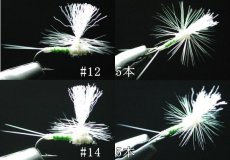 画像2: エルモンヒラタカゲロウ　パラシュートダン　10本セット (2)