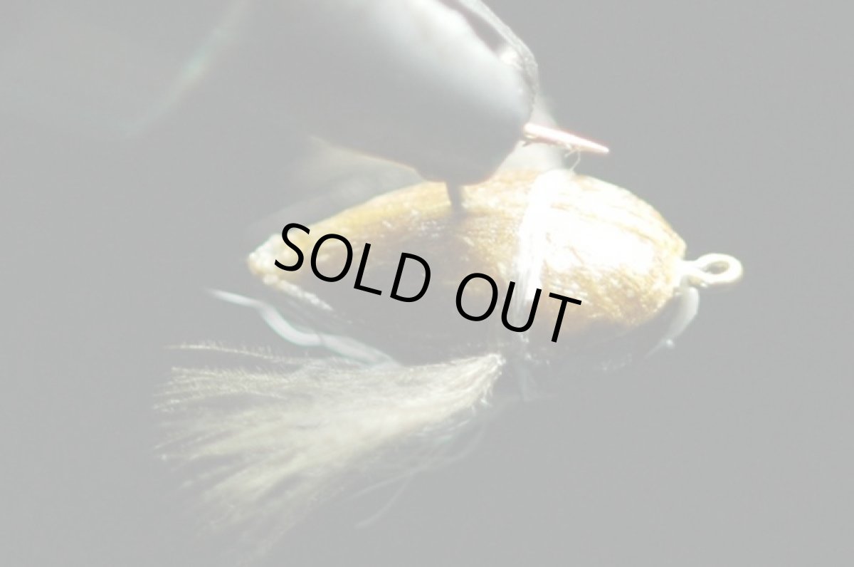 画像3: シマザキ.カメムシ　ブラウン　＃12 fix (3)