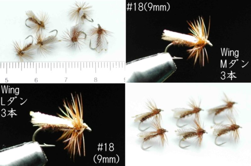 フライフィッシング　アングラーための水生昆虫学　フライ　スピナー　トビケラ フライフィッシング アングラーための水生昆虫学 フライ