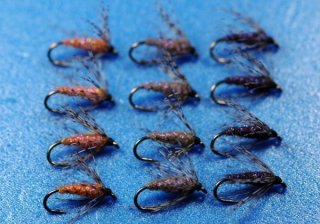 ヒゲナガウエット＆ソフトハックル(1) 6本セット - 鱒夢