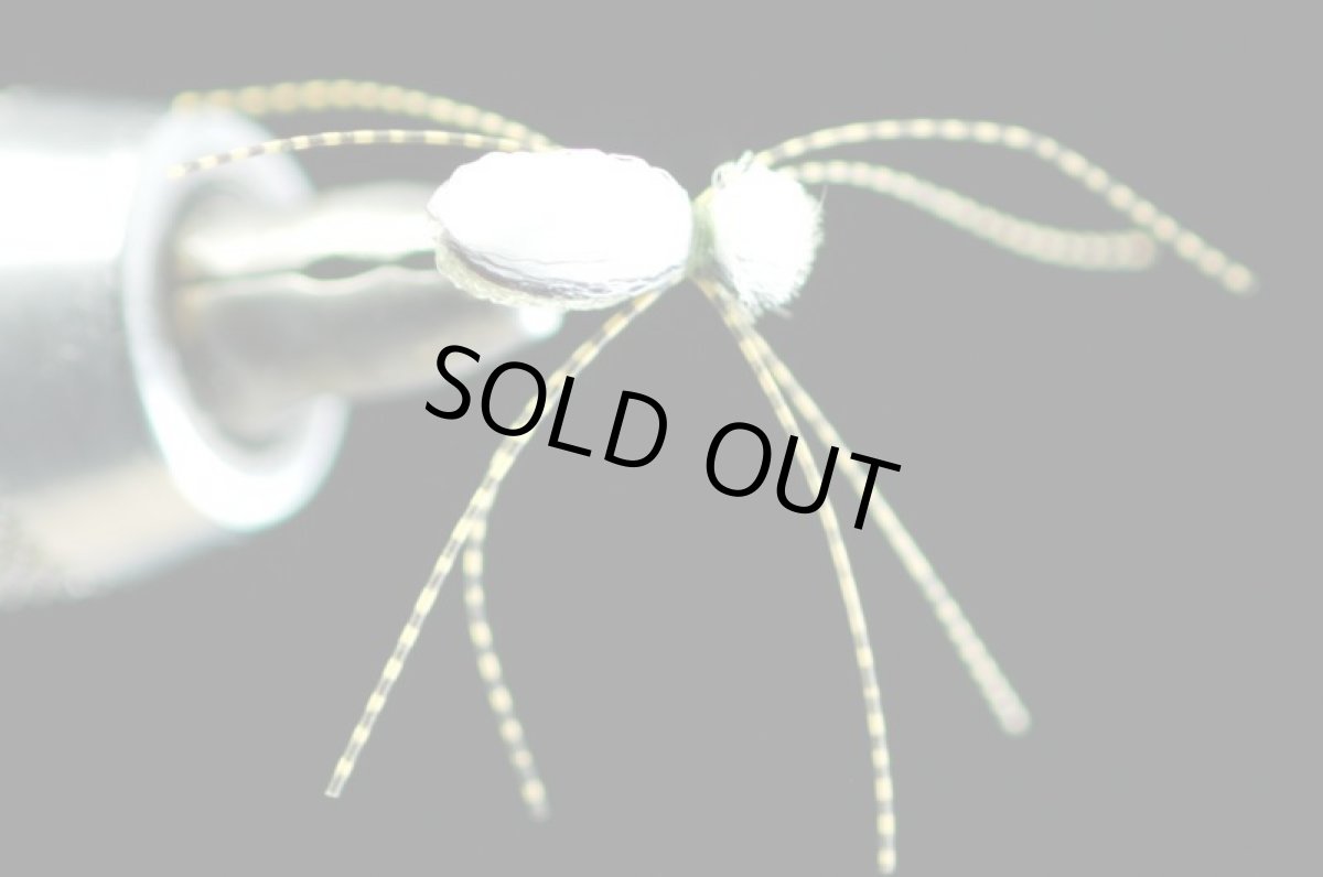 画像2: アマガイマシュマロスパイダー #15 (2)