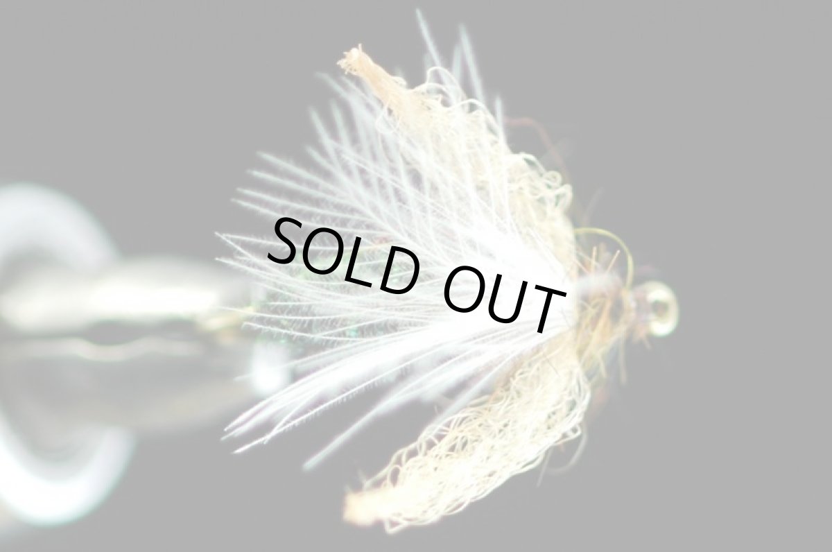 画像2: シママキビー　#8 (2)