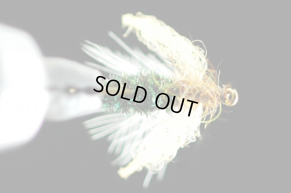 画像3: シママキビー　#8 (3)