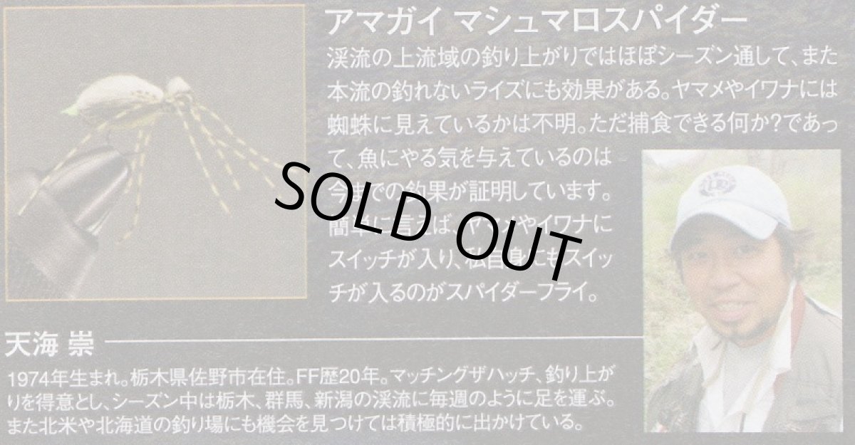 画像4: アマガイマシュマロスパイダー #15 (4)