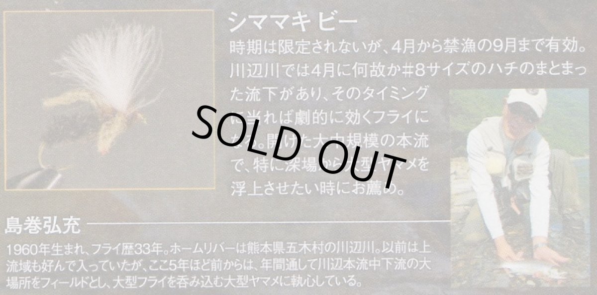 画像4: シママキビー　#8 (4)