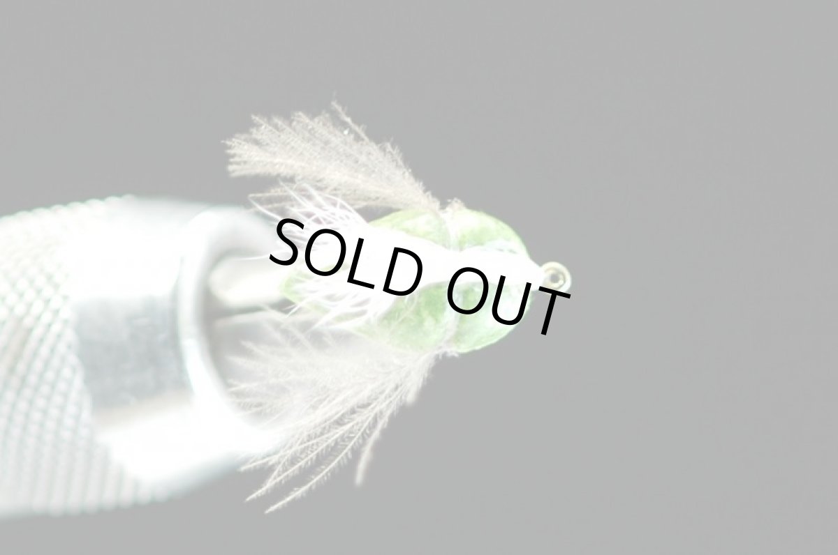 画像2: シマザキ.カメムシ グリーン #14 fix (2)