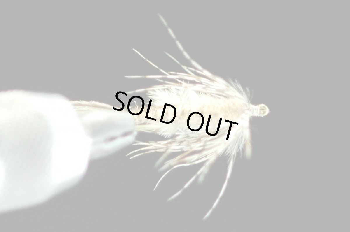 画像2: モンカゲニンフ　＃10 fix (2)