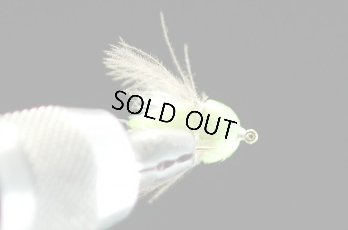 画像3: シマザキ.カメムシ グリーン #14 fix (3)