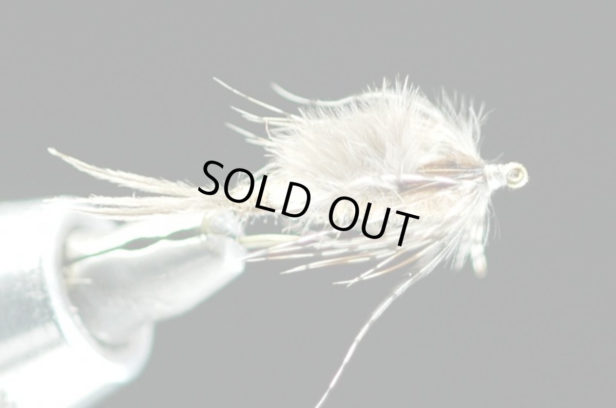 画像3: モンカゲニンフ　＃10 fix (3)