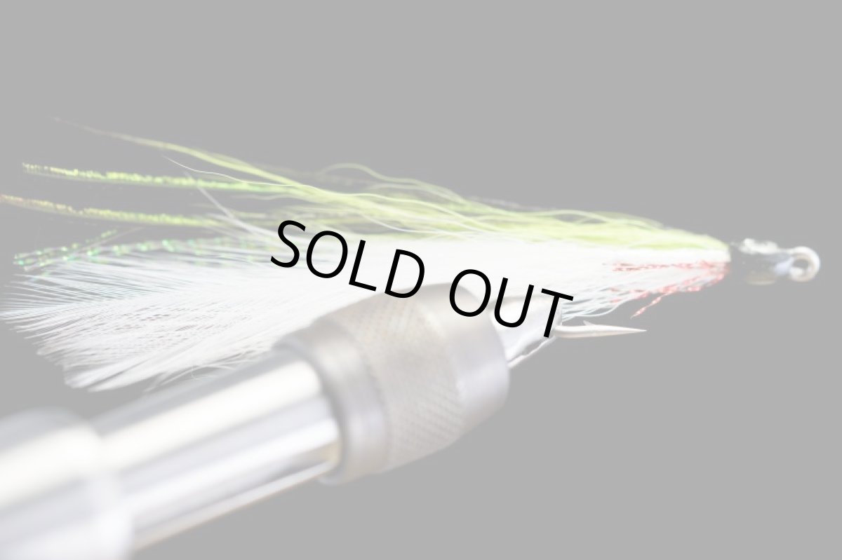 画像2: デシーバー チャート/ホワイト CHARTREUSE/WHITE (2)