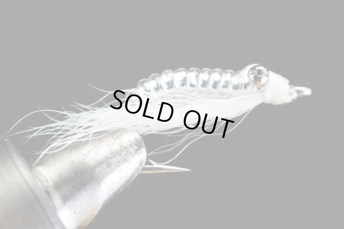 画像4: クレイジーチャーリー ホワイト CRAZY CHARILE - WHITE (4)