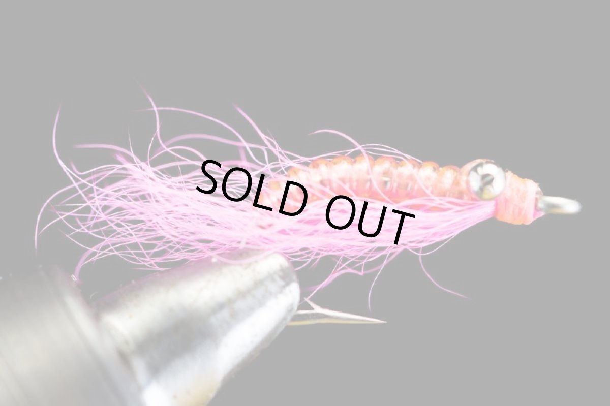 画像2: クレイジーチャーリー　ピンク　CRAZY CHARLIE PINK (2)