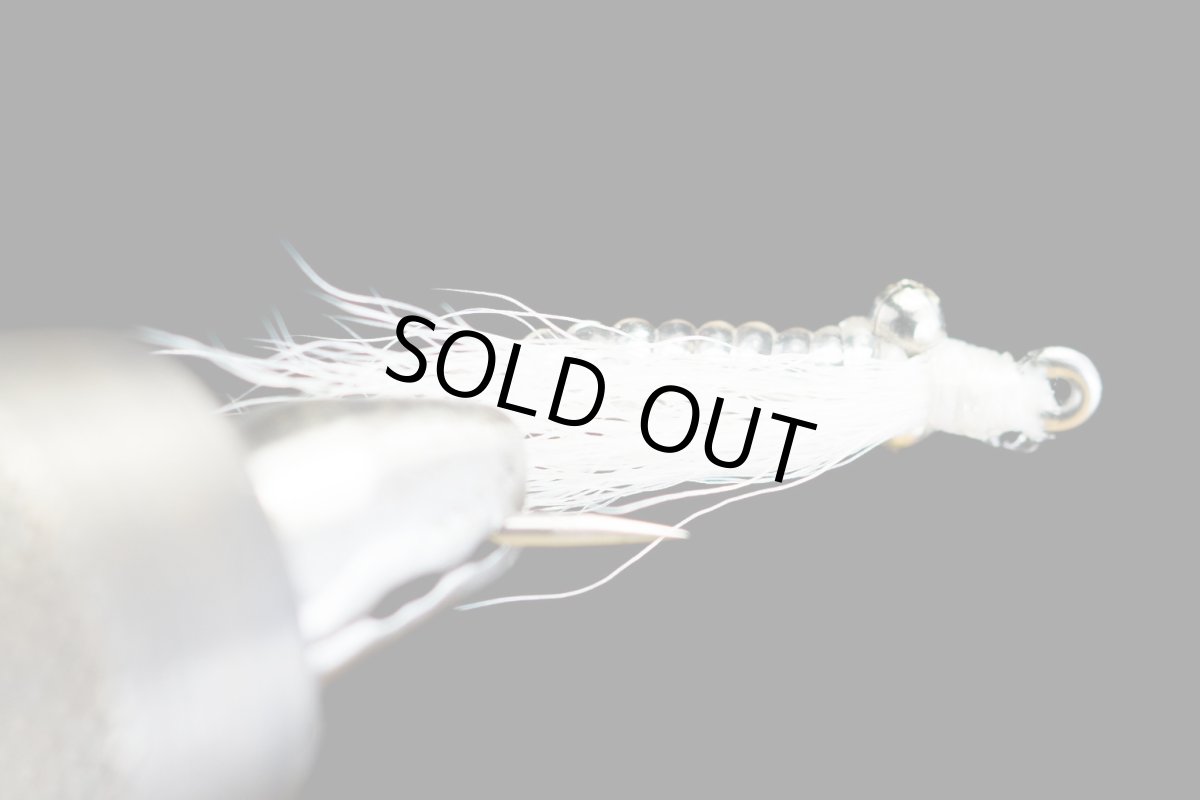 画像2: クレイジーチャーリー ホワイト CRAZY CHARILE - WHITE (2)