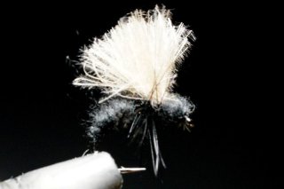 たむたむさま専用✳️ベンジョアブ フィッシングマリン - ワーム｜Yahoo!ショッピング