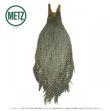 画像1: メッツ  コックネック METZ Cock Neck Hackle (1)