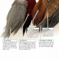 画像2: メッツ  コックネック METZ Cock Neck Hackle (2)