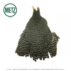 画像1: メッツ  ヘンネック METZ Hen Neck (1)