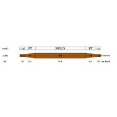 画像2: サイエンティフィック・アングラーズ/マスタリー   ウェーブレングス ウェーブレングス LDL Mastery Wavelength LDL (2)