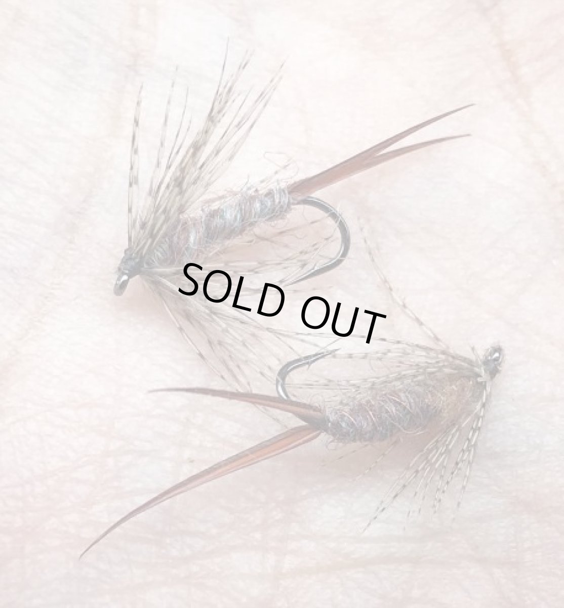 画像2: SEMPERFLI センパーフライ  ダーティーバグヤーン (2)