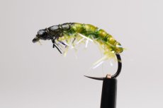 画像3: SEMPERFLI センパーフライ  ストラグルストリング (3)