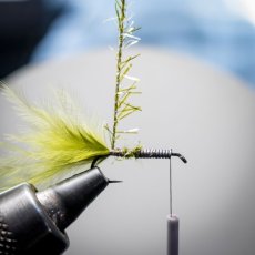 画像7: SEMPERFLI センパーフライ  ストラグルストリング (7)