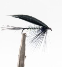 画像5: SEMPERFLI センパーフライ  ストラグルストリング (5)