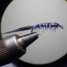 画像6: SEMPERFLI センパーフライ  ストラグルストリング (6)