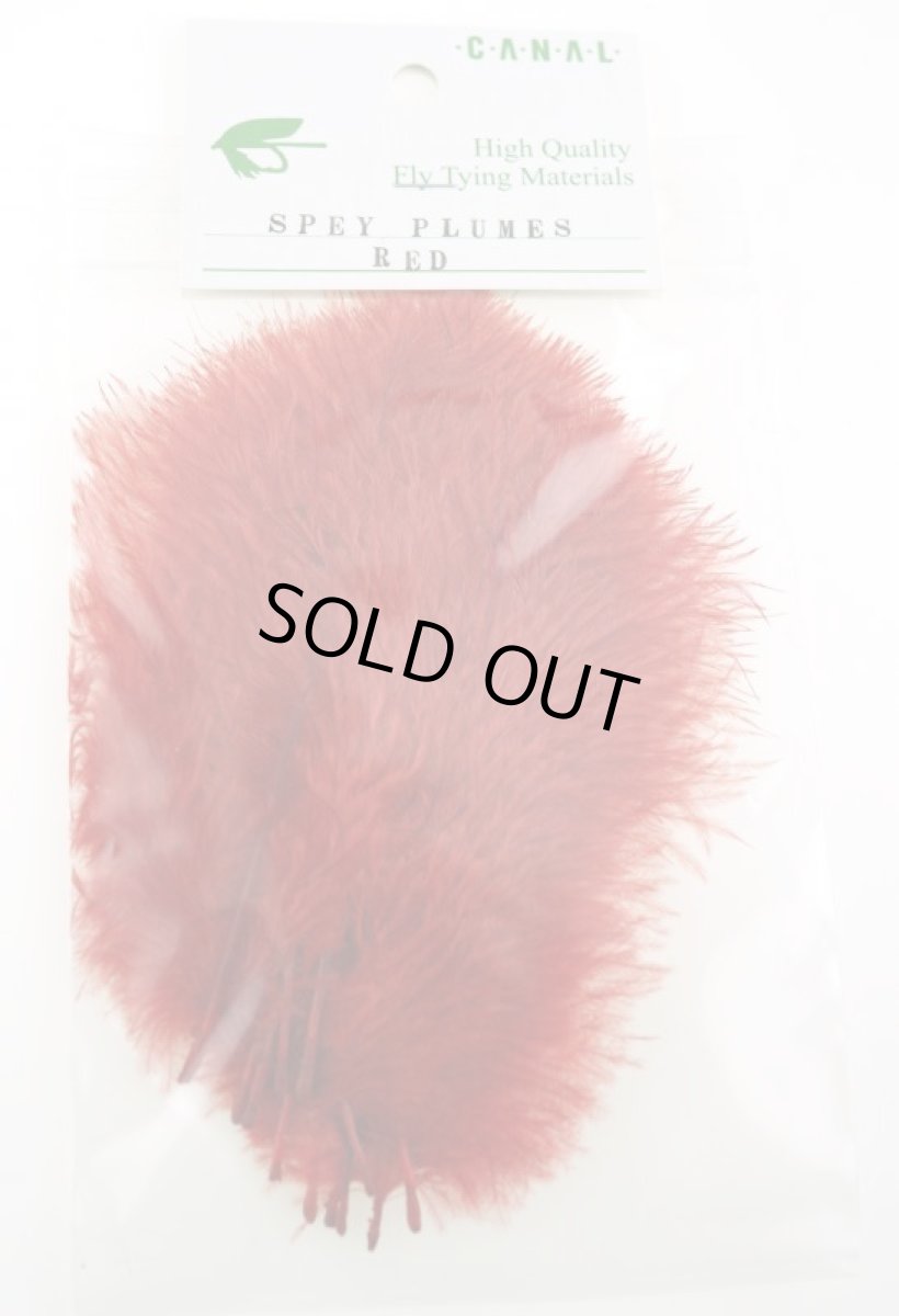 画像7: CANAL  キャナル　SPEY PLUMES スペイプリムス (7)