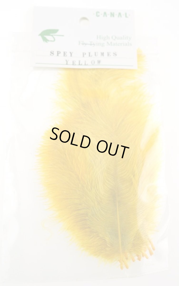 画像6: CANAL  キャナル　SPEY PLUMES スペイプリムス (6)