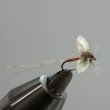 TIEMCO シマザキ フライウィング V Shimazaki Fly Wing V - 鱒夢