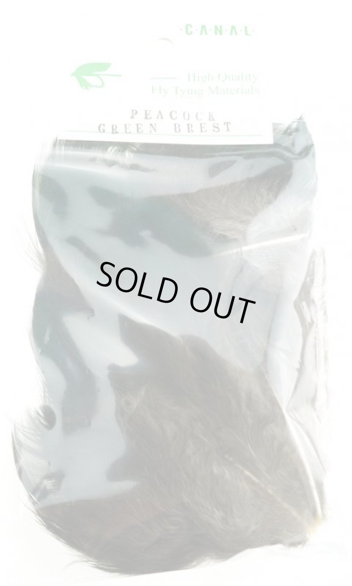 画像2: CANAL  キャナル　ピーコック　グリーンブレスト　PEACOCK GREEN　BREST (2)