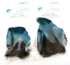 画像2: CANAL  キャナル　ピーコック　ブルーネック　グリーンネック　PEACOCK BLUE　NECK　GREEN　NECK (2)