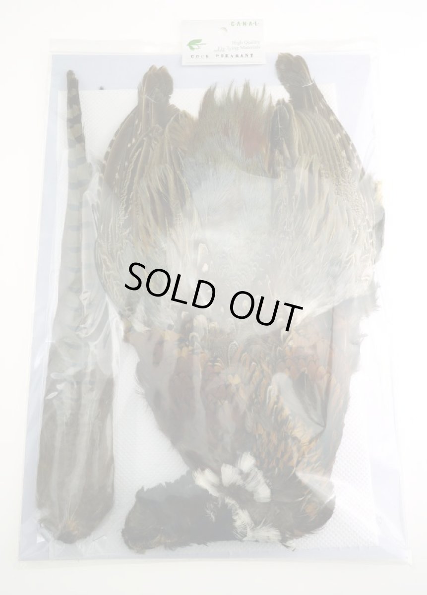 画像2: CANAL  キャナル コックフェザント コンプリート COCK PHEASANT (2)