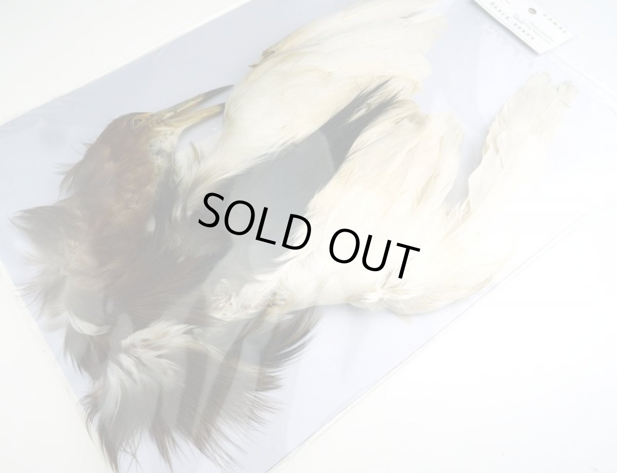 画像5: CANAL  キャナル ブラックヘロン コンプリート BLACK HERON (5)