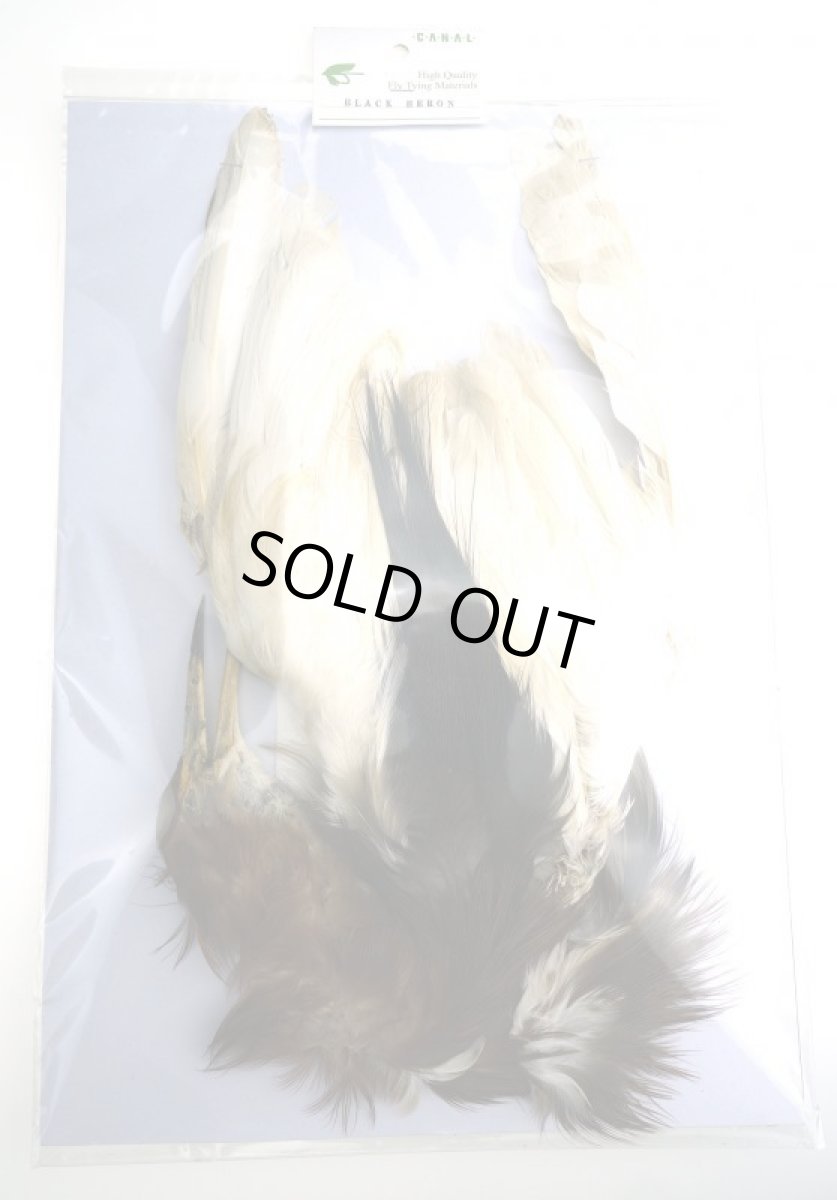 画像4: CANAL  キャナル ブラックヘロン コンプリート BLACK HERON (4)