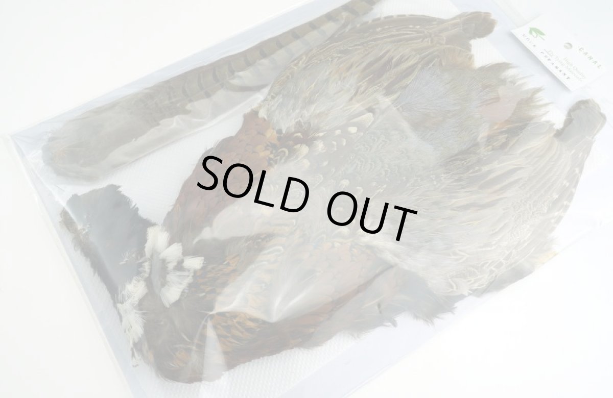 画像3: CANAL  キャナル コックフェザント コンプリート COCK PHEASANT (3)