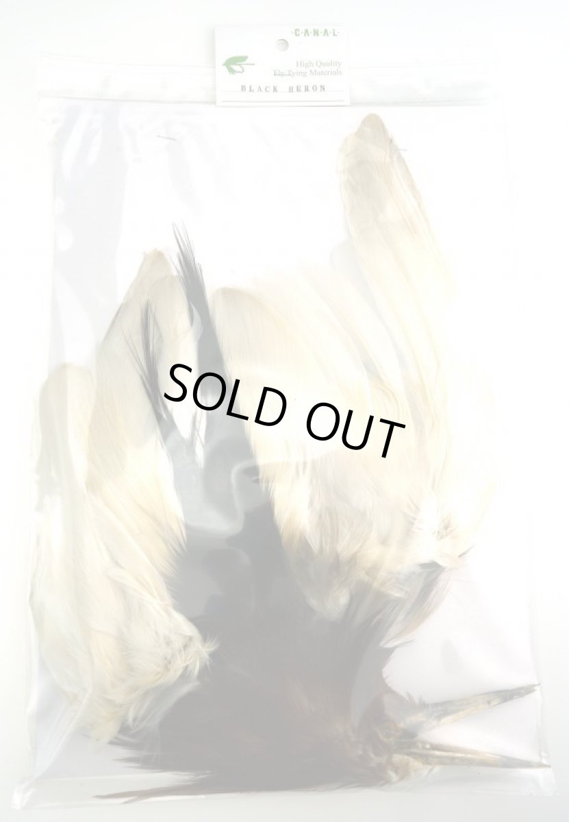 画像3: CANAL  キャナル ブラックヘロン コンプリート BLACK HERON (3)