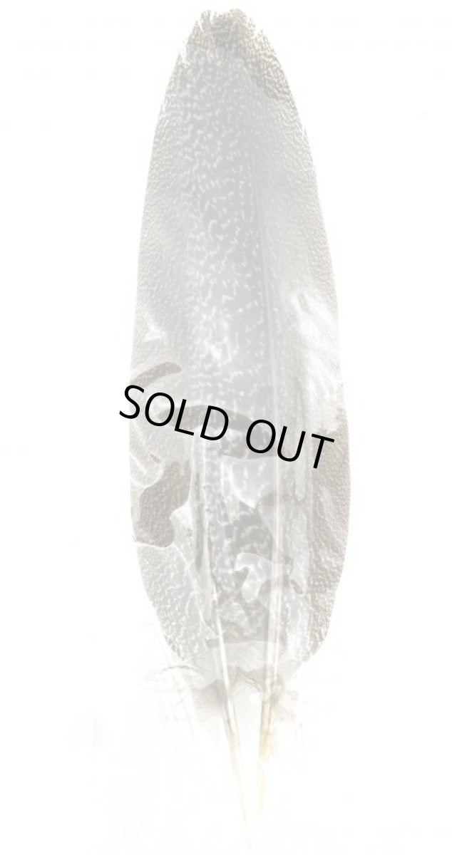 画像2: CANAL キャナル スペックルドフェザントテール SPECKLE PHEASANT TAIL AA (2)